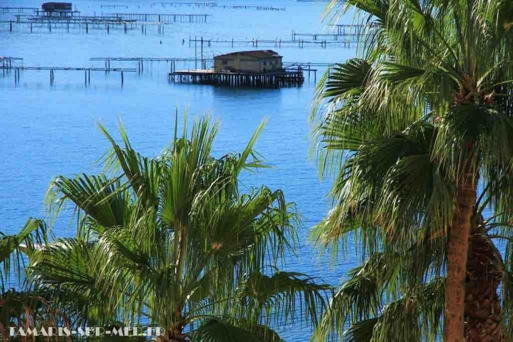 شقة Les Pieds Dans L'Eau لا سين سور مير المظهر الخارجي الصورة